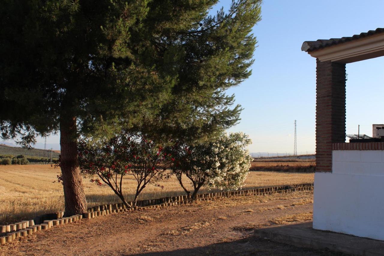Casa Rural La Rosa De Los Vientos Fuente de Piedra Εξωτερικό φωτογραφία
